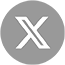 x logo