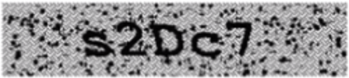 An error has occurred while getting captcha image