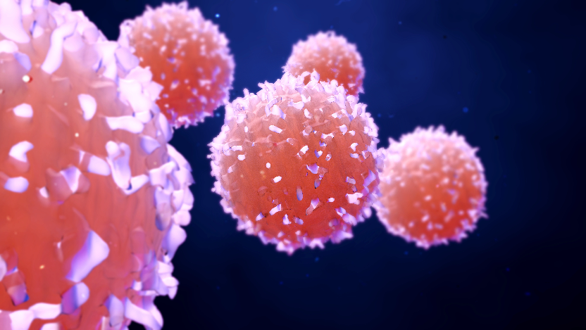 Oncology