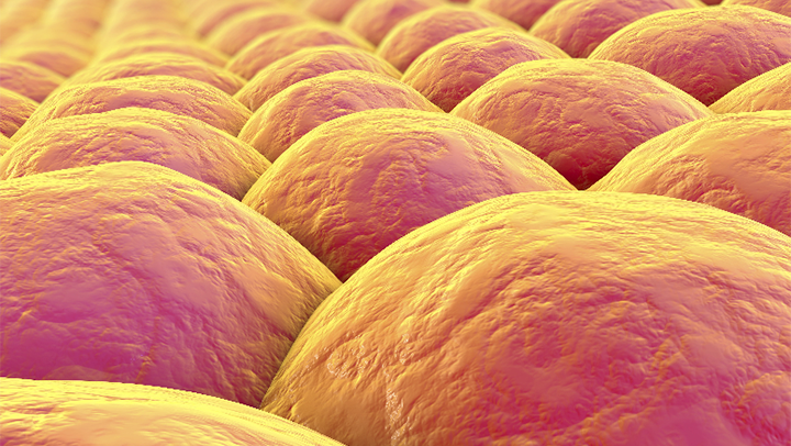 Dermatology