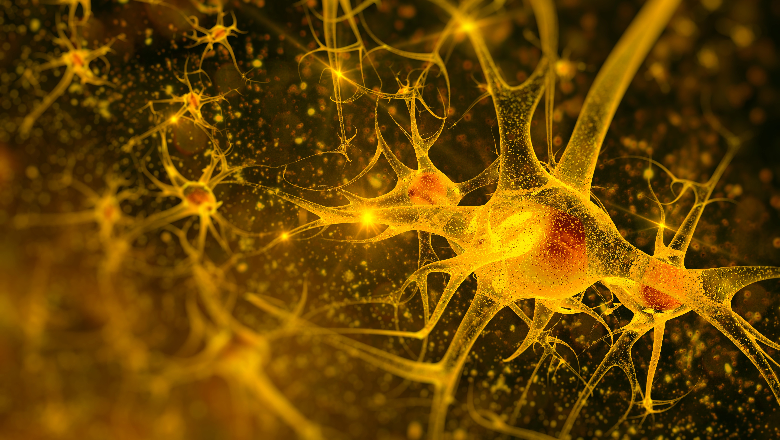 Neurology